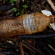 A plastic water bottle is seen washed up on the banks of the Anacostia River on March 21, 2019 in Washington, DC.
